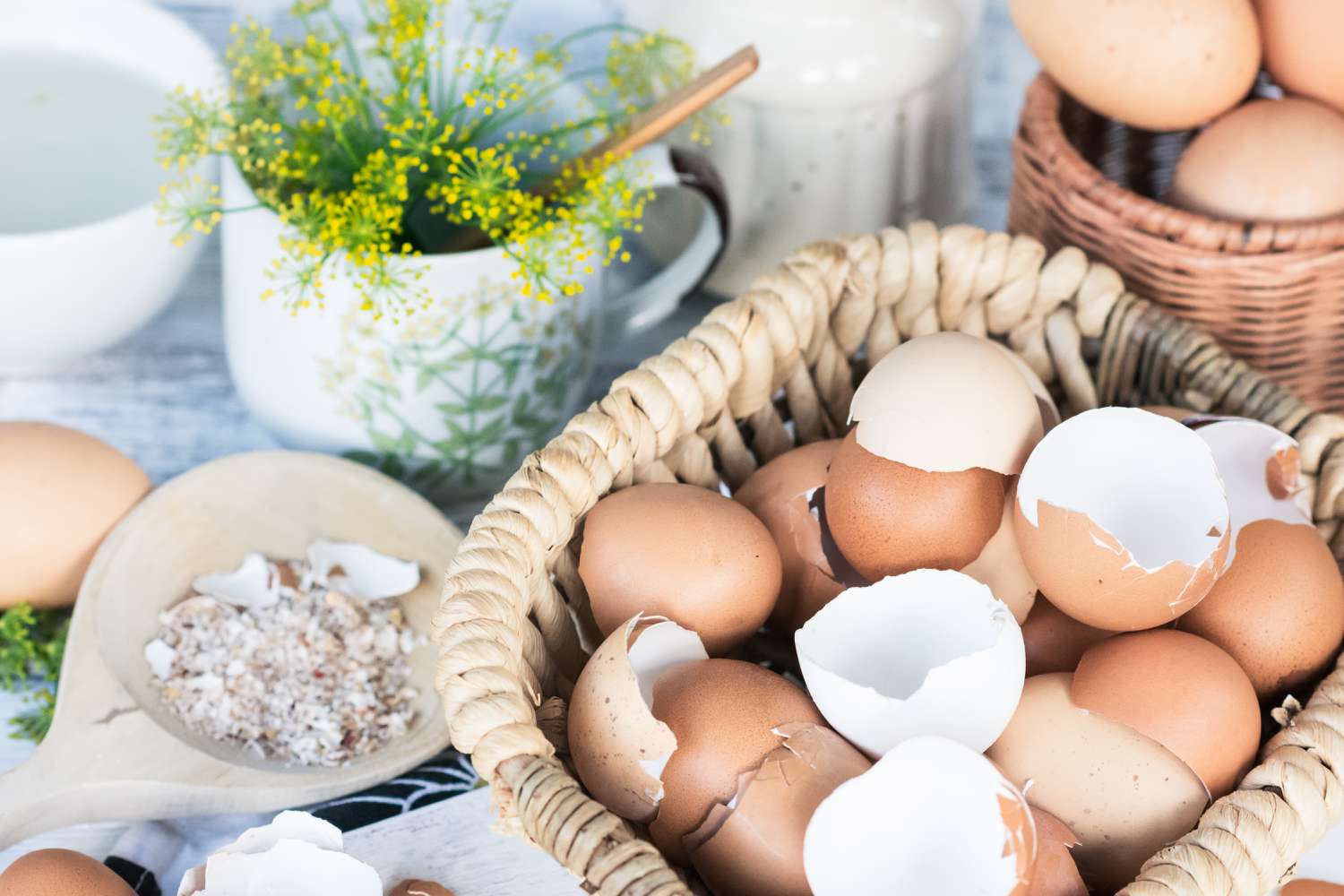 The appropriate technique to Use Eggshells for Vegetation