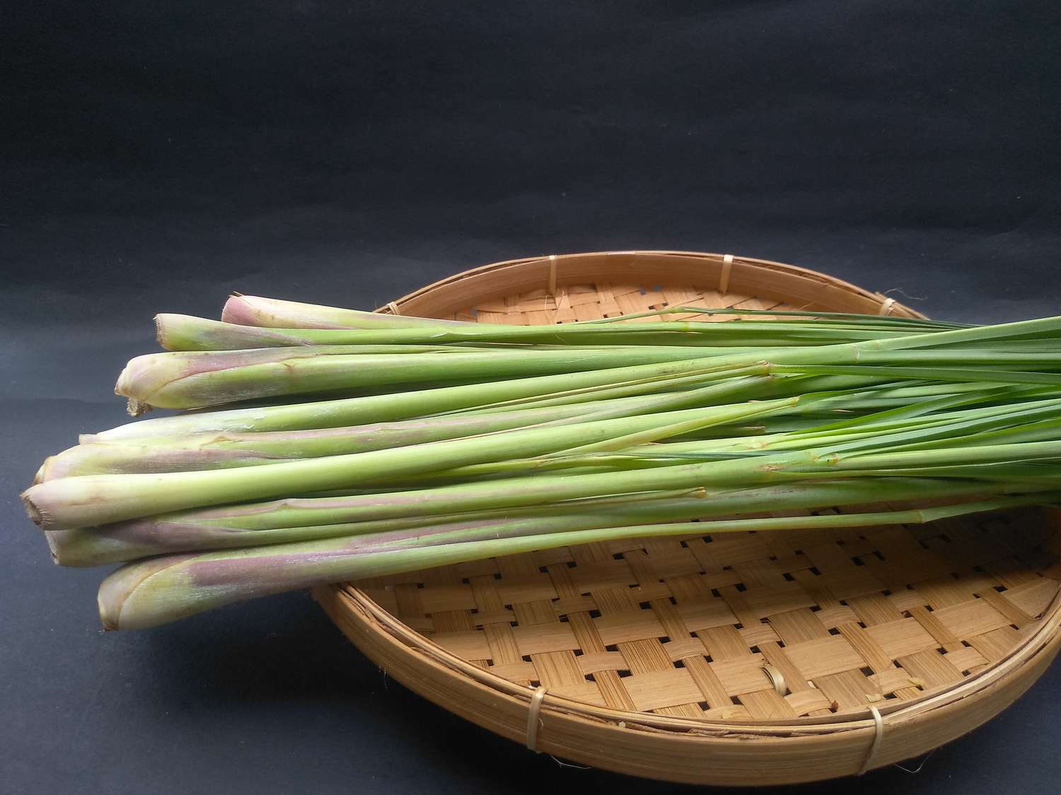 One of the simplest ways to Develop Lemongrass Indoors—as a Houseplant or to Harvest