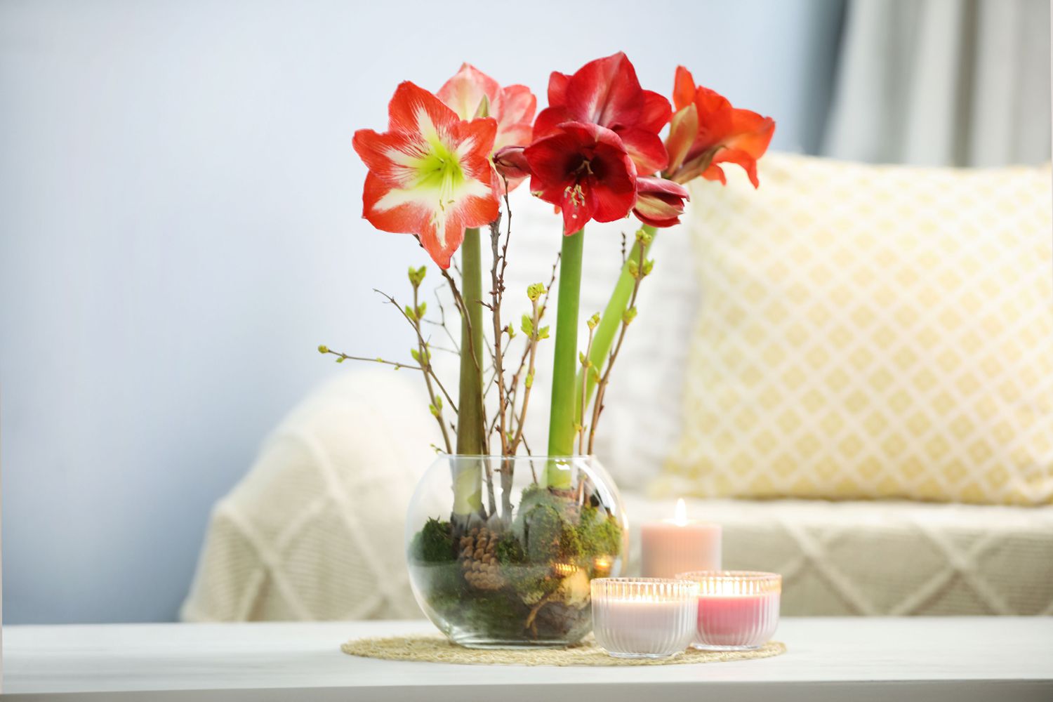 One of the best ways to Stress Bulbs for Winter Blooms Indoors, In accordance with Specialists